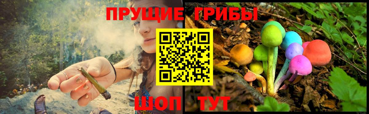 Галлюциногенные грибы Psilocybine cubensis  Вход с VPN  Шадринск  Галлюциногенные грибы GOLDEN TEACHER 